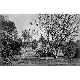 City Botanic Gardens with Parliament House in the Background -1900
