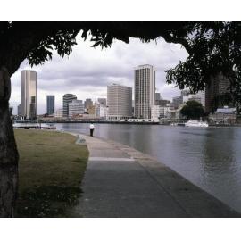 View of City Buildings from Captain Bourke Park.