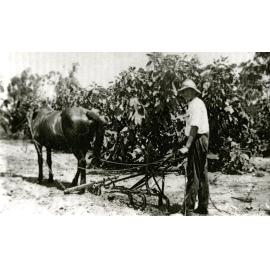 Horse and Plough - Sunnybank - 1935