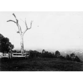 Mt Coot-tha - One Tree Hill - 1900