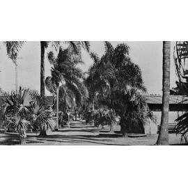 Ascot Park During World War II - 1944