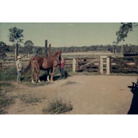 Image of Horse yards Henson Family farm area now near Tetra Place, Algster