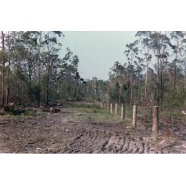 Image of Henson Family farm area near Algester road