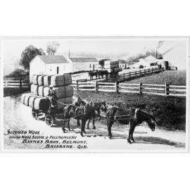 Horse-drawn wagon carting wool c1900