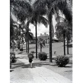 Newstead Park - 1950