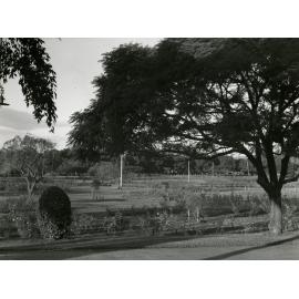 New Farm Park - 1950