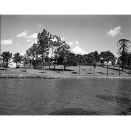Newstead Park from Brisbane River - 1950