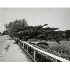 Kelvin Grove Road and Bancroft Park 1950