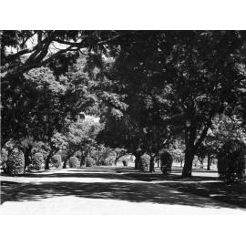 New Farm Park - 1949