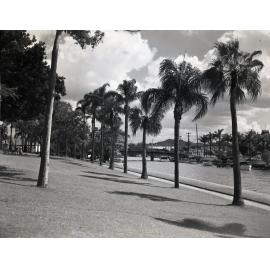 Newstead Park 1949