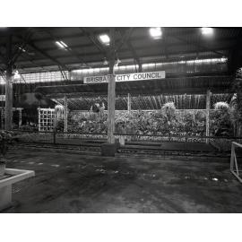 EKKA - Brisbane City Council Horticulture Exhibit - 1951