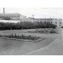 Park - Skew Street - 1958