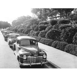 Taxis Parked in Albert Street Along Wickham Park - 1953
