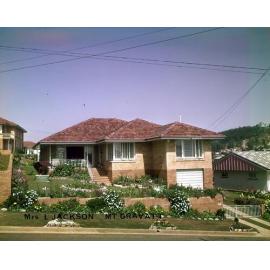 Courier Mail Gardens Entrant - 15 Thelma Street - Mount Gravatt - 1963