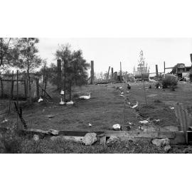 Houses along Moggill Road - Pullenvale - 1963