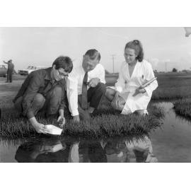 Mosquito Control by Aerial Spraying with Light Plane - Lord Mayor Clem Jones Inspecting the Process - Nudgee - 1970