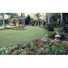 Courier Mail Gardens Entrant - 149 Dawson Road - Upper Mount Gravatt - 1992