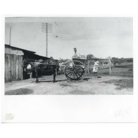 Milk delivery cart - Tingalpa c1930