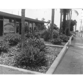 Gardens - Wynnum Administration Centre - 1961