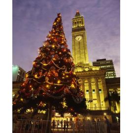 Christmas Tree in front of City Hall - Night View 1984