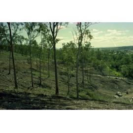 Mount Coot-tha Botanic Gardens Construction Progress 1978