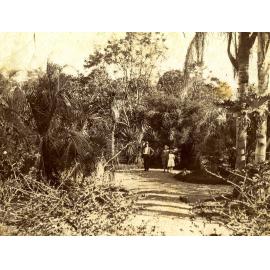 City Botanic Gardens - People Walking Along Path 1936