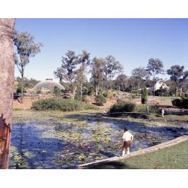 Mount Coot-tha Botanic Gardens - General Views of Lagoon|Water Lilies|Arid Garden|Tropical Display Dome Day and Night|Interior of Tropical Display House and Waterfall.