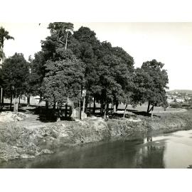 Bancroft Park - Kelvin Grove - 1948