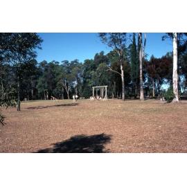 Broadwater Road Park - Mansfield - 1982