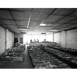 Council Records Storage in Sterling House Fortitude Valley 1968
