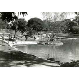 City Botanic Gardens - Lagoon and Rock Pool - 1960