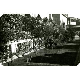 Garden in front of City Hall - King George Square - 1935