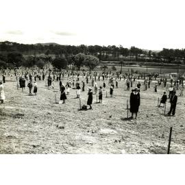 Victoria Park - Tree Planting - 1959