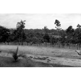 Victoria Park Development 1967