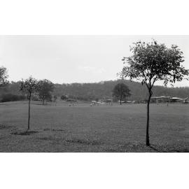Wittonga Park - The Gap - 1976