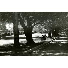 Musgrave Park - South Brisbane - 1948