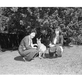 Commonwealth Games Angels with Kangaroo - Lone Pine Sanctuary - 1981