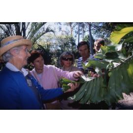 Guided Tour at Mt Coot-tha Botanic Gardens - Volunteer Guide Barbara Wintringham.