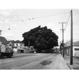 Kelvin Grove Road - Kelvin Grove - 1968