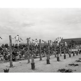 Wood Chop Event - EKKA 1968