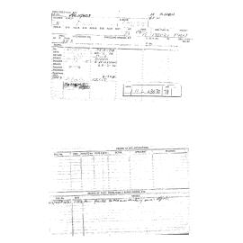 11 DROMOS ST EIGHT MILE PLAINS QLD 4113