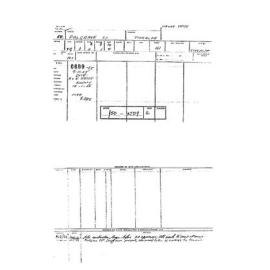 50 PALGRAVE ST TINGALPA QLD 4173