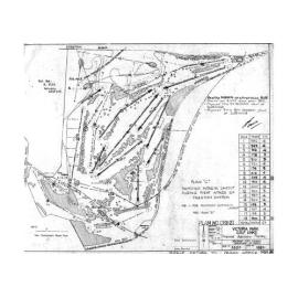 Victoria Park Golf Links - Tree Planting - 1959