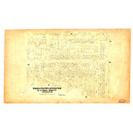 Detail Plan 196 