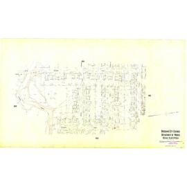 Detail Plan 954
