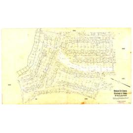 Detail Plan 1009