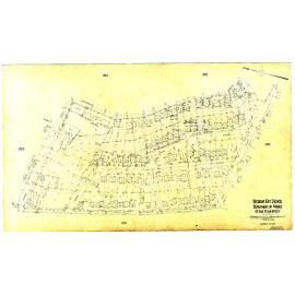 Detail Plan 1217