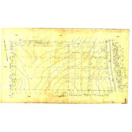 Detail Plan 1329