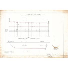 Drainage plan for Haig Road near Gregory Park, Milton - 1908