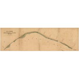 Proposed improvement to river bank, North Quay, showing garden layout, Brisbane City - 1898   